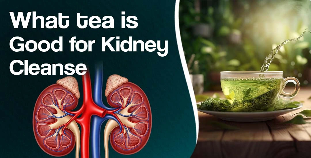 What Tea is Good for Kidney Cleanse?